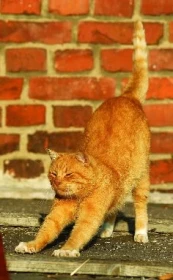 Začátky fotografování - 2. část