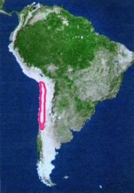 Osmák degu