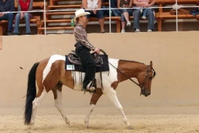 Western Riding Club a nové možnosti