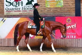Westernový boom aneb co nového bylo, je a bude v roce 2007