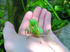 Kudlanky – I. část