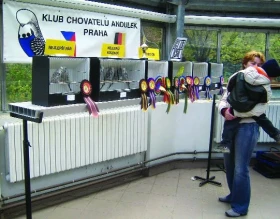 40. celostátní výstava andulek