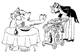 Kočka nepřijímá krmivo