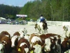 Zahájení sezóny seriálem Ranch Rodeo
o titul Champion Czech Republic