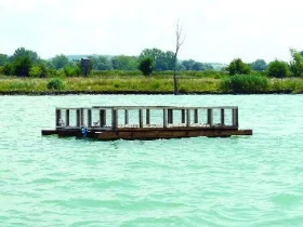 Rybáci hnízdí na plovoucích ostrůvcích