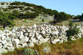 Jedovatí hadi Balkánského poloostrova