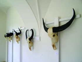 Postřehy a dojmy z velmi neobvyklé výstavy