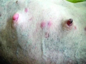 Komedomy a kožní problémy u naháčů