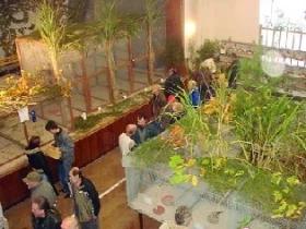 Jihočeská výstava – malé ohlédnutí