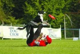 Dogfrisbee - Základní typy hodů