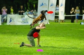 Dogfrisbee - Práce se psem I.