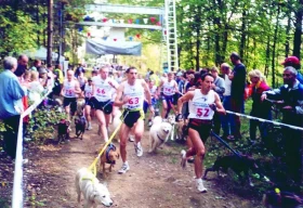 Caniscross a spol. – díl 1