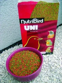 Krmení leskoptví v zimním období