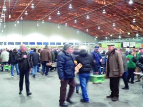 Vzhůru na burzu do Straubingu