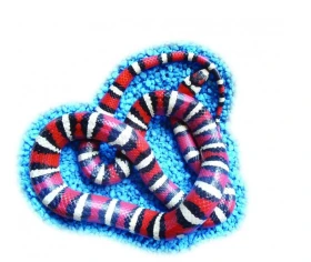 Korálovky – seriál 3. Druhy a poddruhy