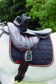 Slečny a dámy mají své klání!