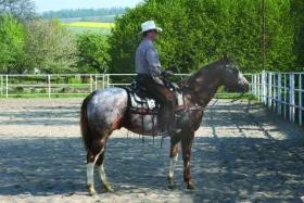 Parameta Pohár v Koryčanech