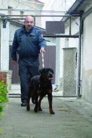 Stálice mezi služebními psy