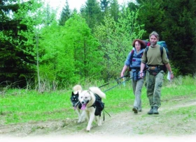 Musa pedestris aneb Abeceda dog – trekkingu (13.)