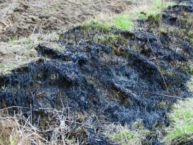 Nebezpečné vypalování trávy