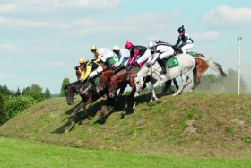 Anglický plnokrevník