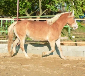 Sám sobě trenérem – 4. část