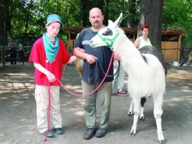 Lamoterapie – lamy jak je neznáme