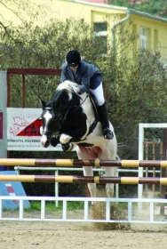 Když se řekne pinto