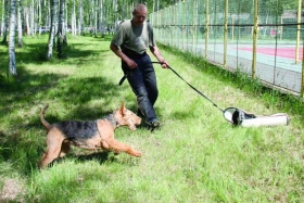 Největšími hrdiny byli erdelteriéři