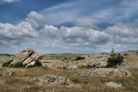 Herpetofauna na pomezí Evropy a Anatólie