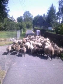 Pomáháme si sami – pořádáme kurzy, které nikdo nedělá