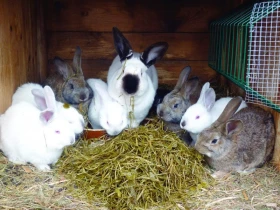 Senážování píce