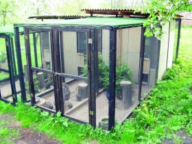 Začínáme s chovem bažantů – 1. část