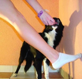 Psí Star Dance – část 7. Nenuďte se a naučte se