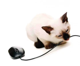 Nesnáším počítač