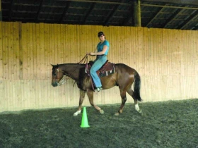 Chyby ve výcviku (4) Pohled jezdce