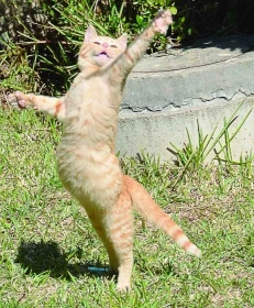 Všude dobře, doma nejlépe