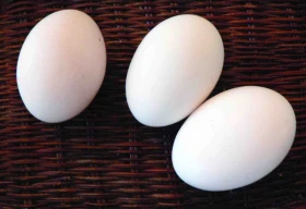 Pokud chcete vlastní kuřata