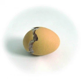Líhnutí v líhni