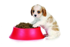 Spotřeba, potřeba a náklady