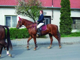 Chyby ve výcviku (7) Věř, ale komu věříš, měř