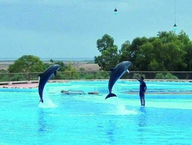 Zoopark Friguia – Tunisko