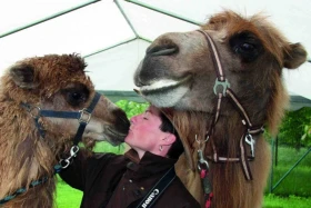 Klinická canisterapie v podání magistry Ivy Bajtlerové VI. Volba plemena