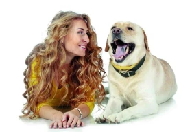 Odpovědnost za problémy, které má váš pes s nevhodným nebo nekvalitním krmivem, nesete vy!