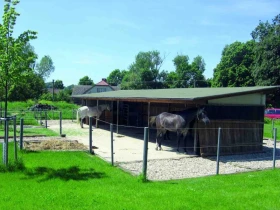 Domov pro koně Díl 2: Koně v lidských podmínkách