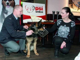 Statečné psí srdce má čtyři vítěze