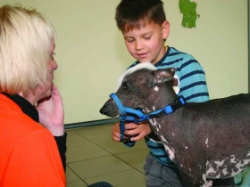 Klinická canisterapie v podání magistry Ivy Bajtlerové XVII. zatím jen podpůrná metoda