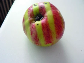 Poklady z přírody 17 Jablka a jiné jádroviny