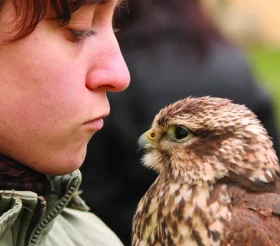Úvod do sokolnictví – malé seznámení s velkou vášní,  1. část