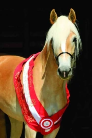 Zemědělská farma rodiny Sixtovy